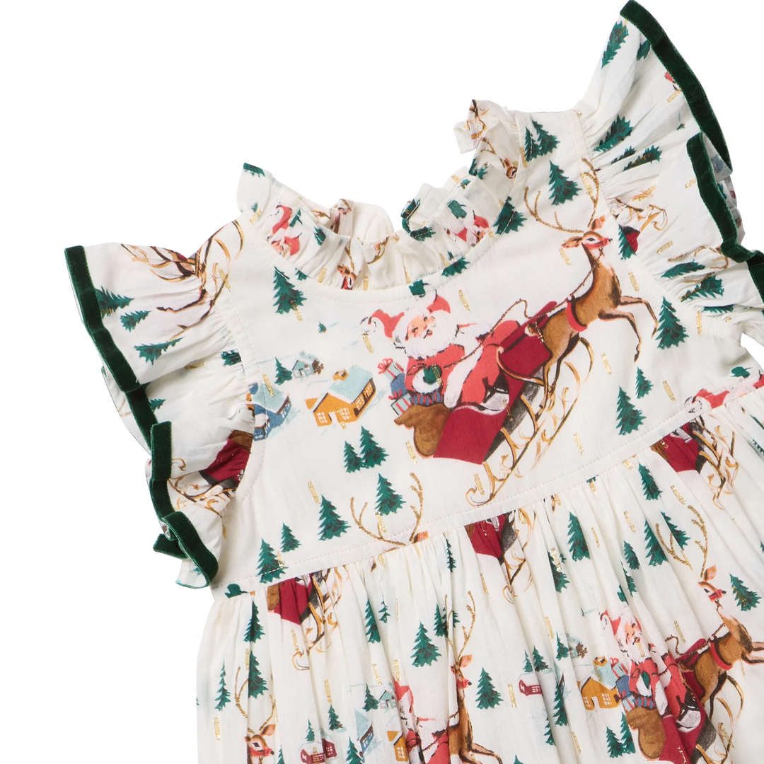 Pink Chicken Jennifer Dress - Santa Sleigh