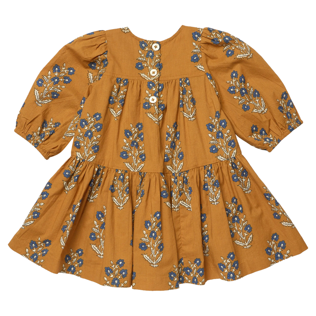 Pink Chicken Fiona Dress - Harvest Dewdrop