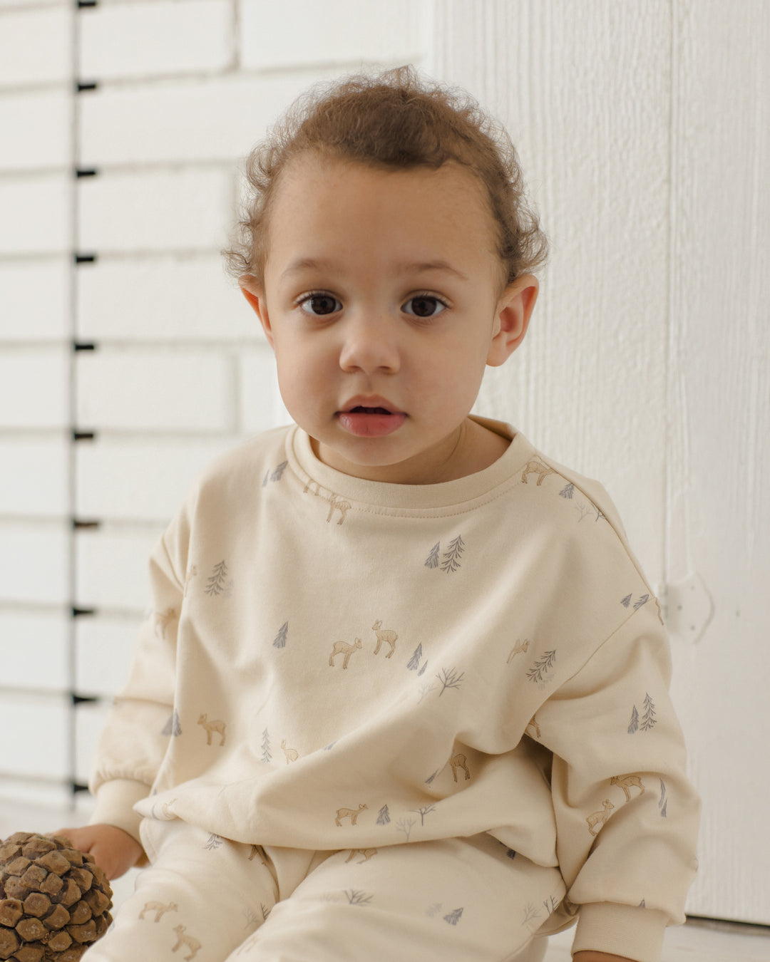 Quincy Mae Relaxed Sweatshirt + Sweatpants Set - Deer