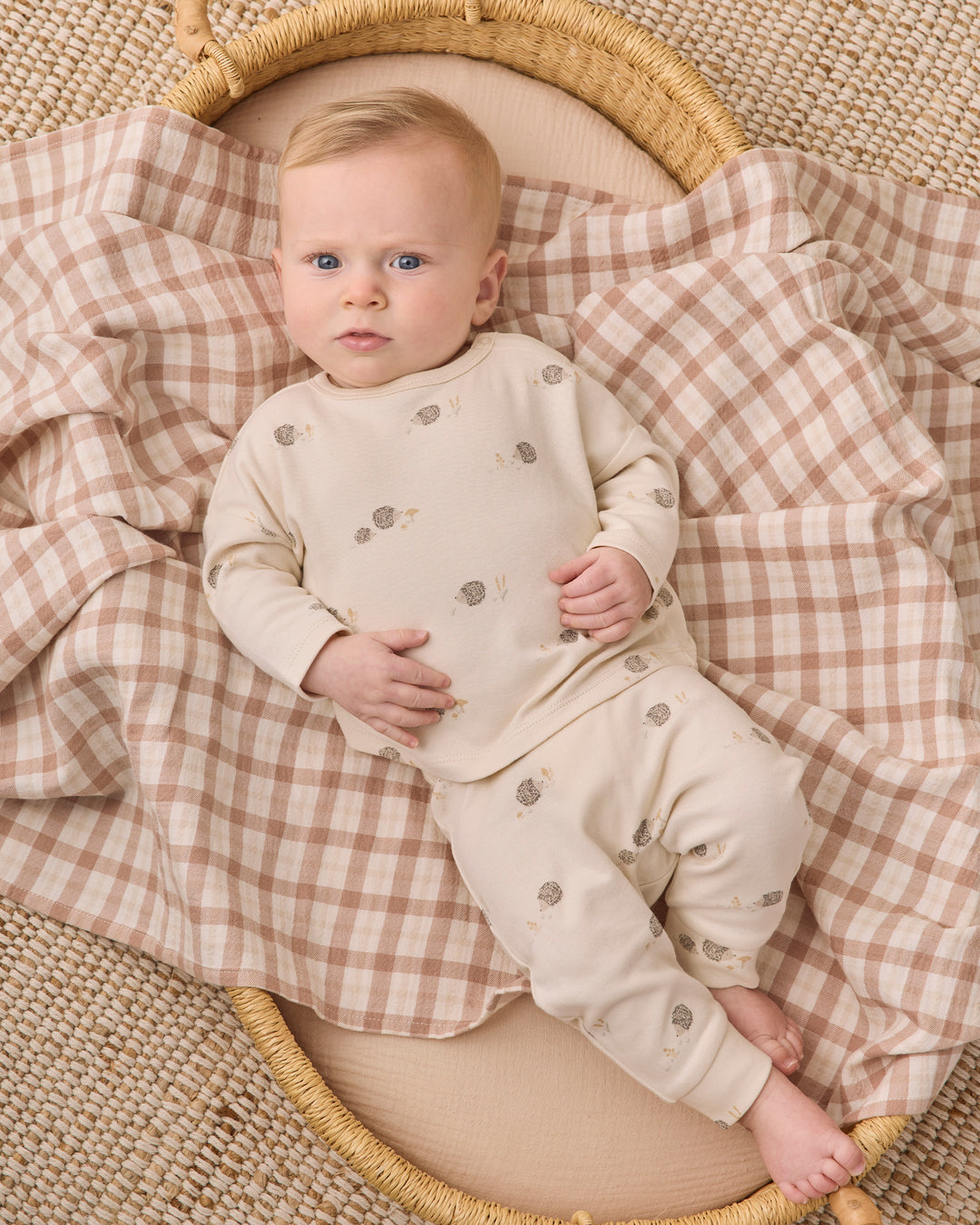 Quincy Mae Long Sleeve Tee - Hedgehog
