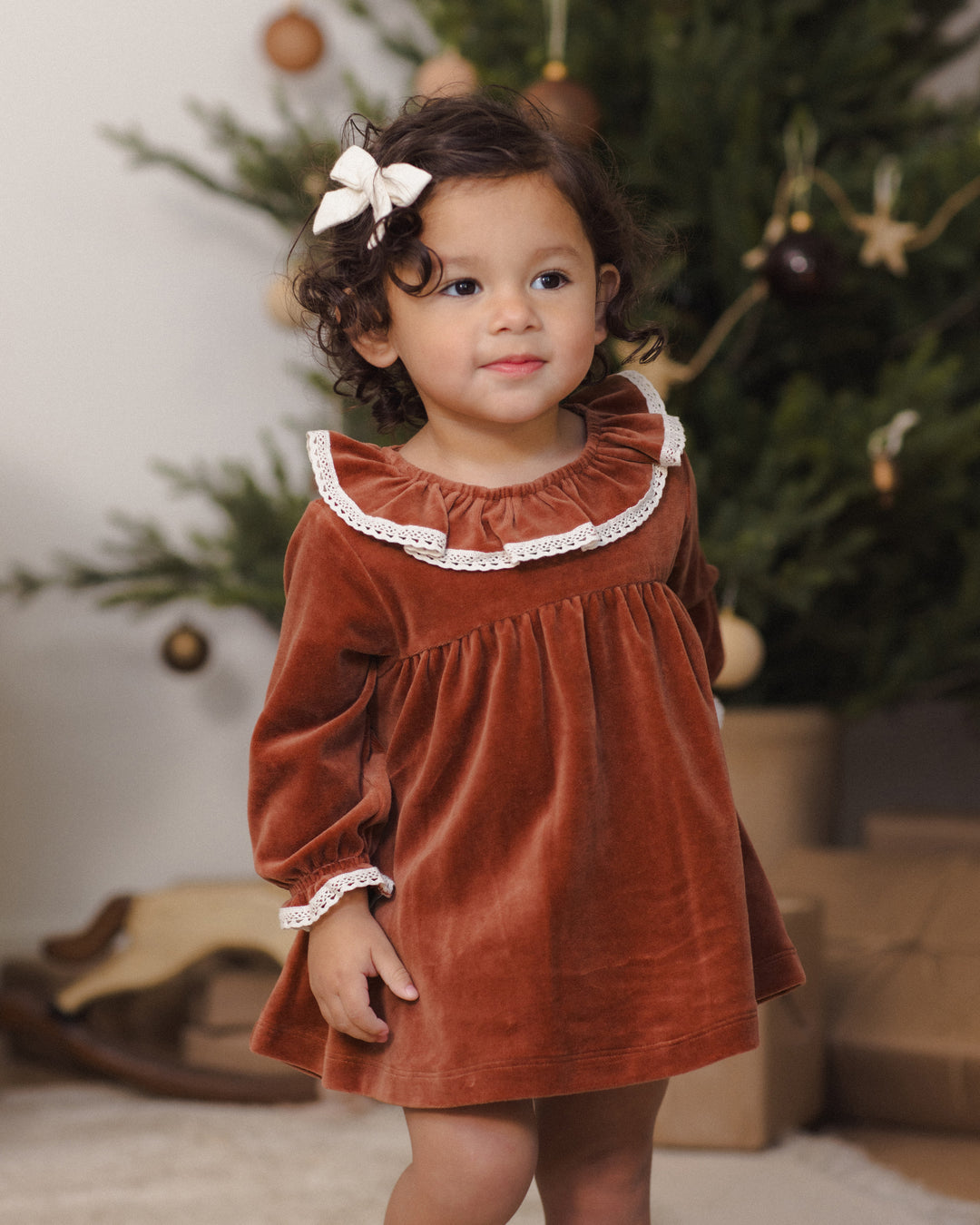 Quincy Mae Velour Baby Dress - Redwood