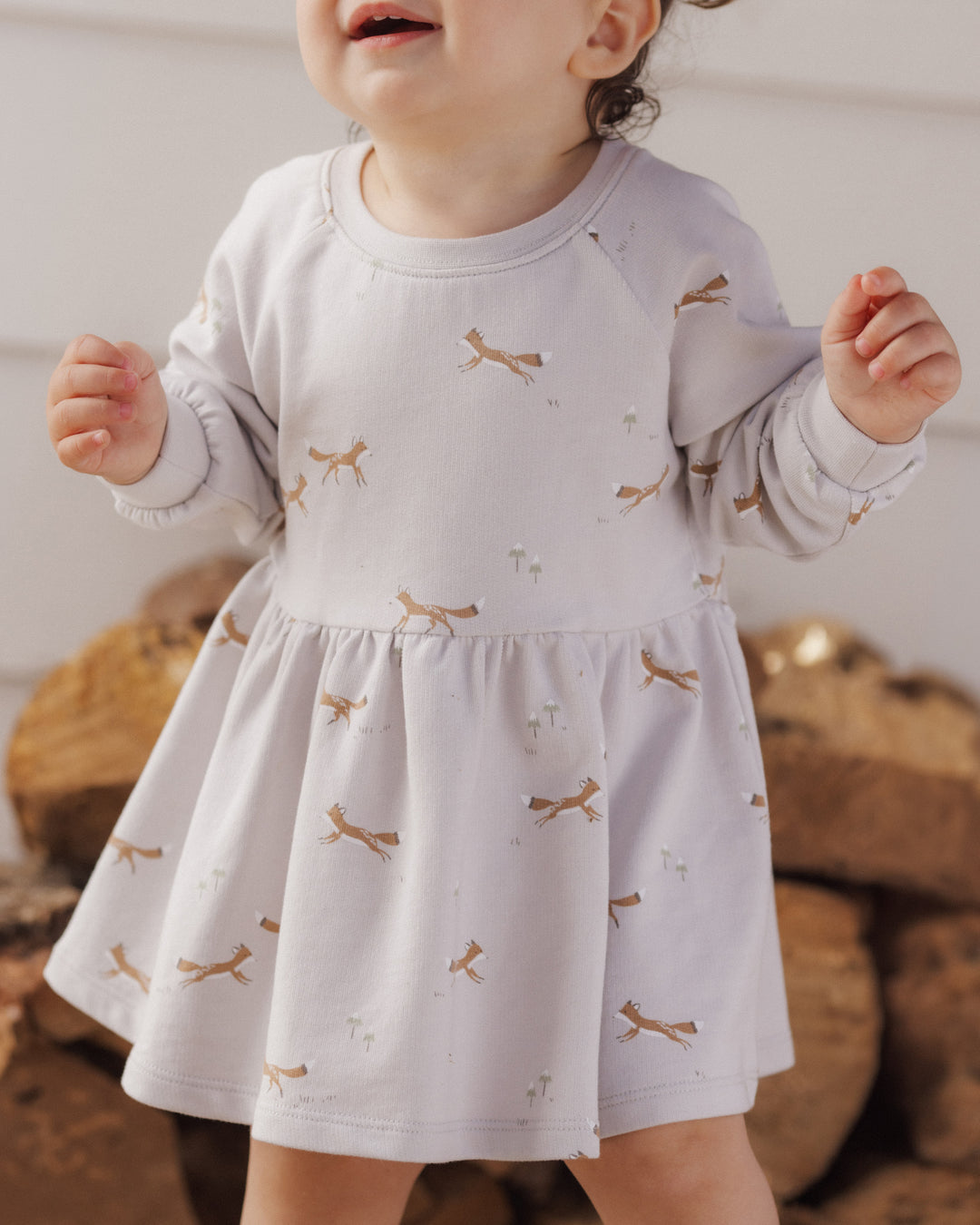 Rylee + Cru Raglan Dress - Foxes