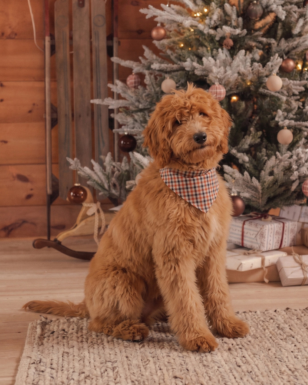 Rylee + Cru Dog Bandana - Holiday Gingham