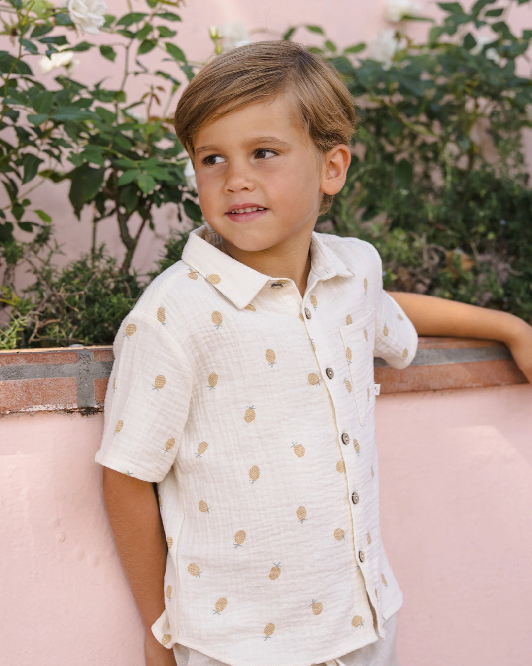 Rylee + Cru Collared Short Sleeve Shirt - Pineapple