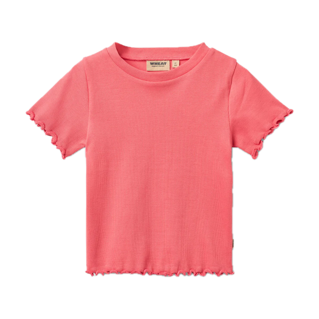 Wheat Rib Short Sleeve T-shirt Alicia - Watermelon