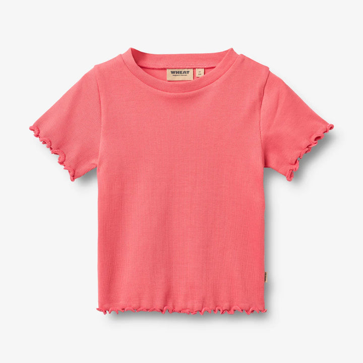 Wheat Rib Short Sleeve T-shirt Alicia - Watermelon