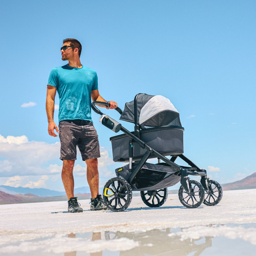 Veer Switchback Bassinet