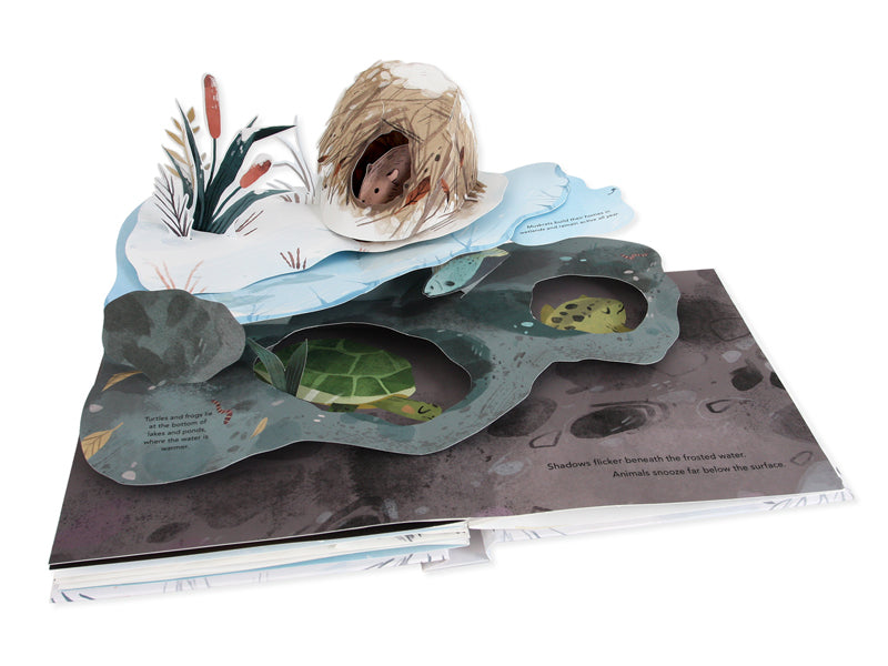 Snowscape A Winter Pop-Up Book