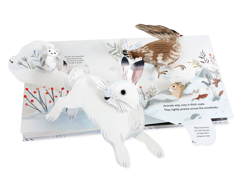 Snowscape A Winter Pop-Up Book