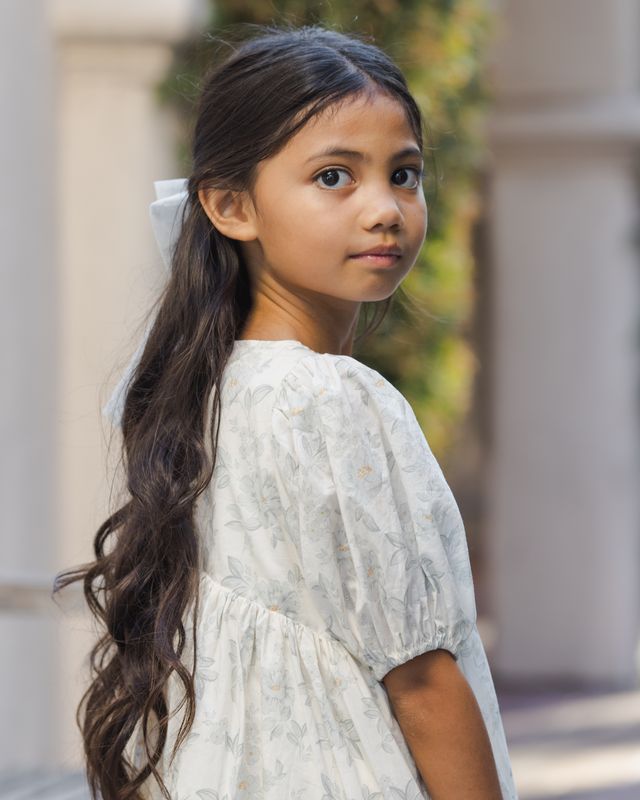 Noralee Luna Dress - Mist English Rose