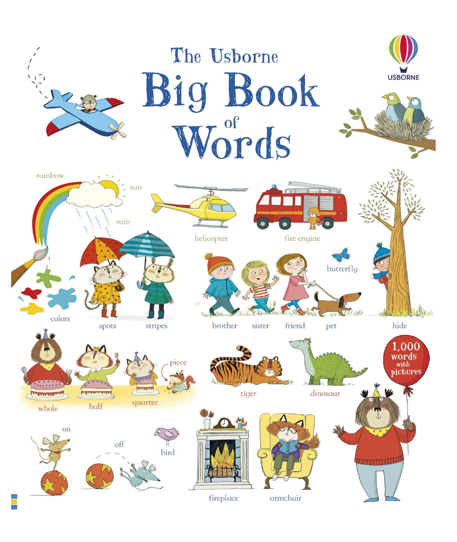 Usborne Big Book of Words