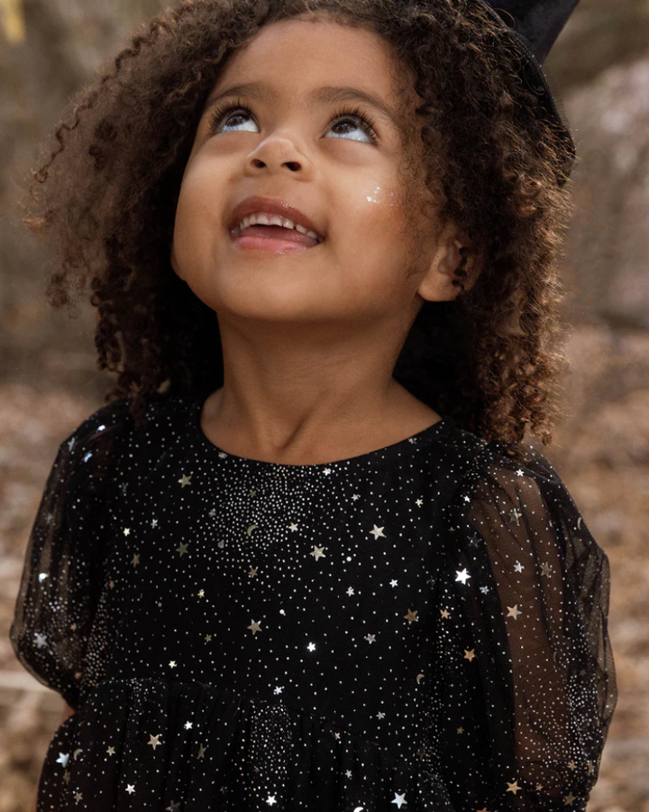 Noralee Luna Dress - Night Sky