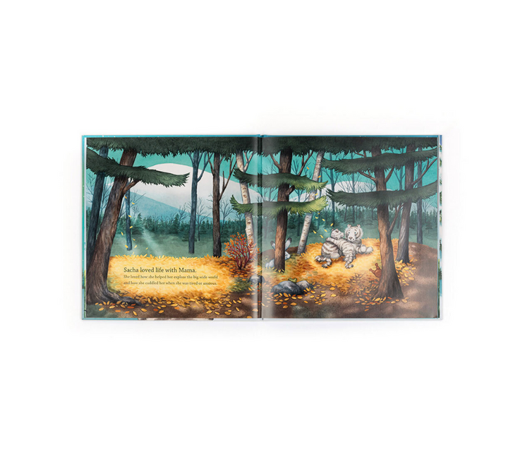 Jellycat Sacha and The Most Wonderful Thing