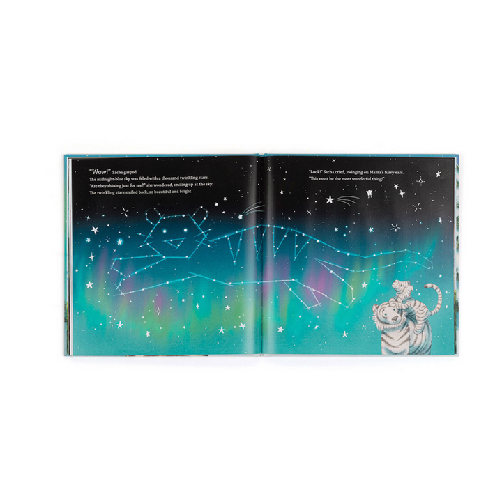 Jellycat Sacha and The Most Wonderful Thing