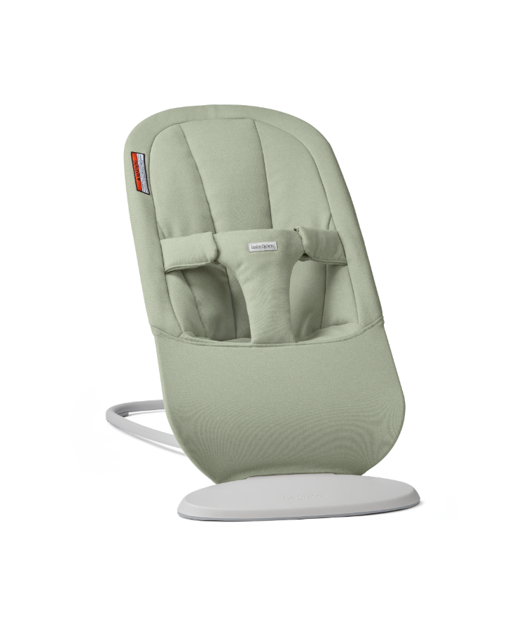 Baby Bjorn Bouncer Begin