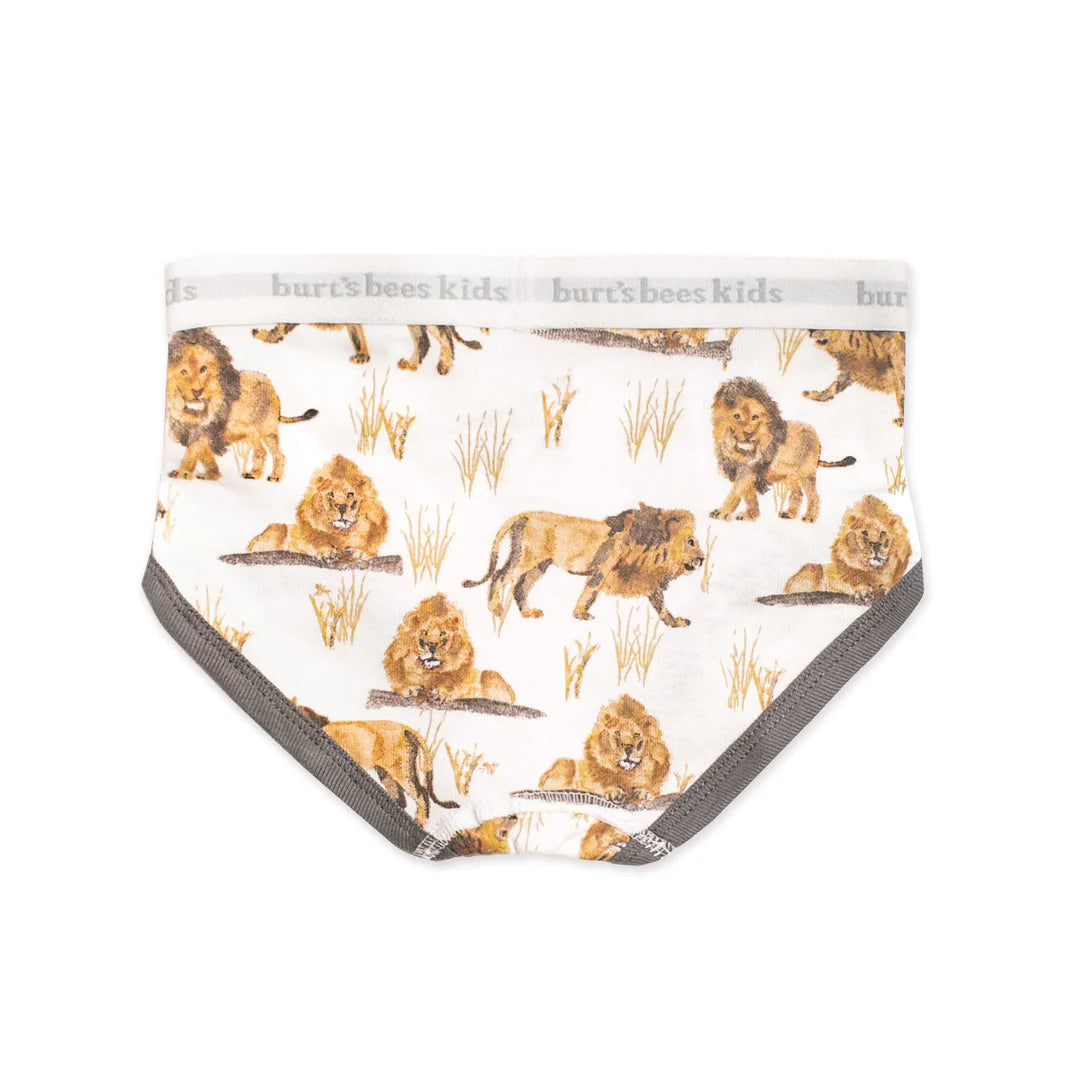 Burt's Bees Boys Set of 5 Happy Herbivores & Lions Underwear