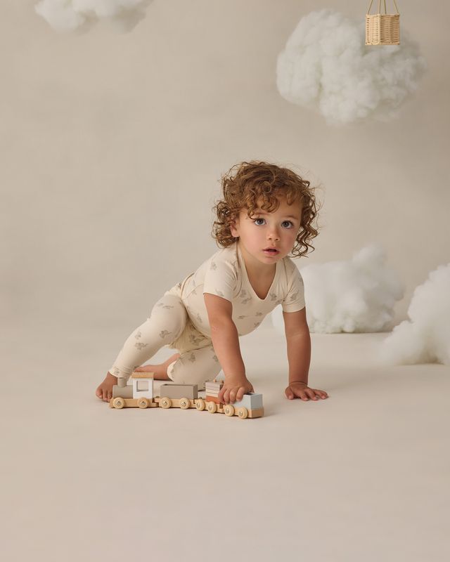 Quincy Mae Bamboo Short Sleeve Pajama Set - Elephants