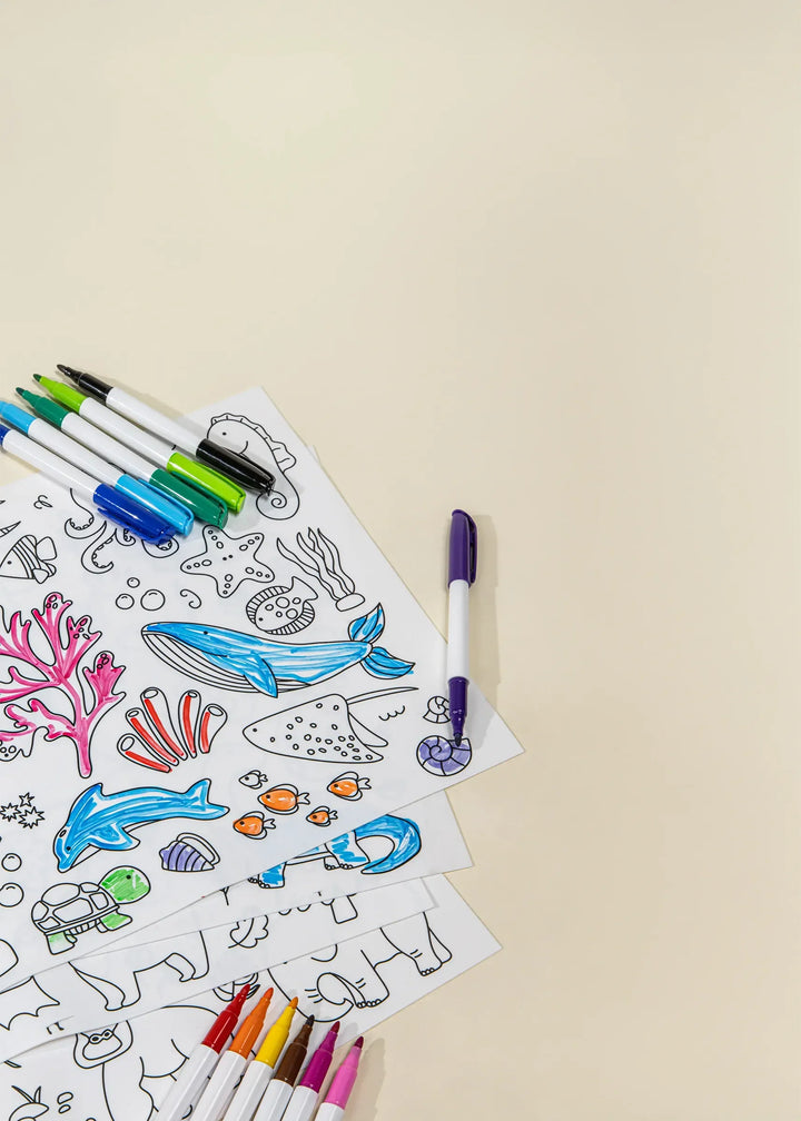 Coco Village Set Of 4 Silicone Washable Coloring Placemats & 12 Markers