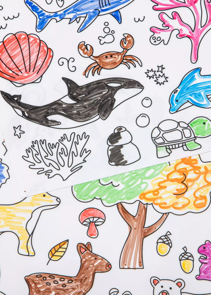 Coco Village Set Of 4 Silicone Washable Coloring Placemats & 12 Markers