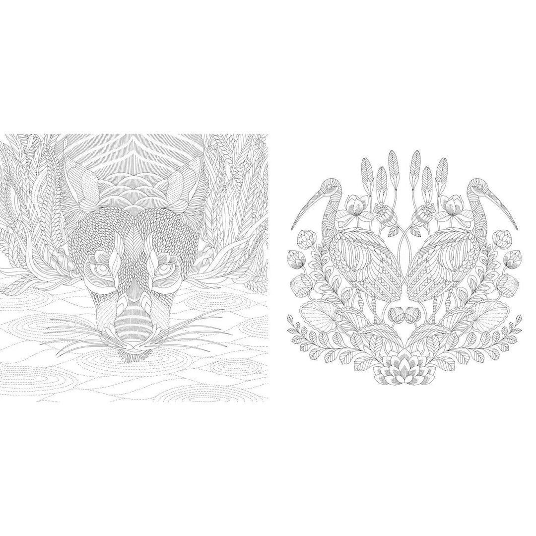 Millie Marotta's Wildlife Wonders Coloring Book