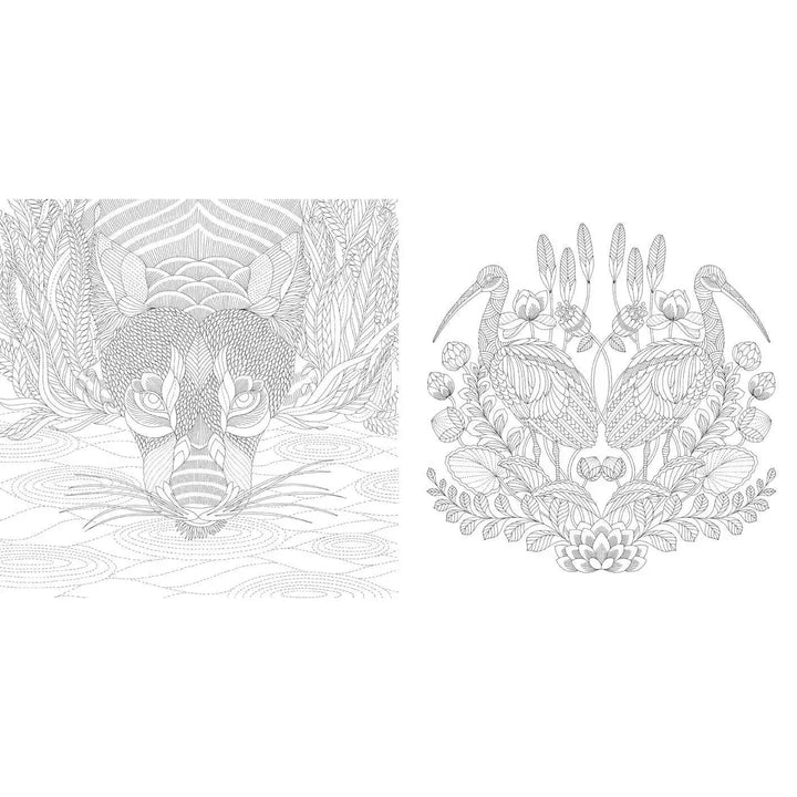 Millie Marotta's Wildlife Wonders Coloring Book