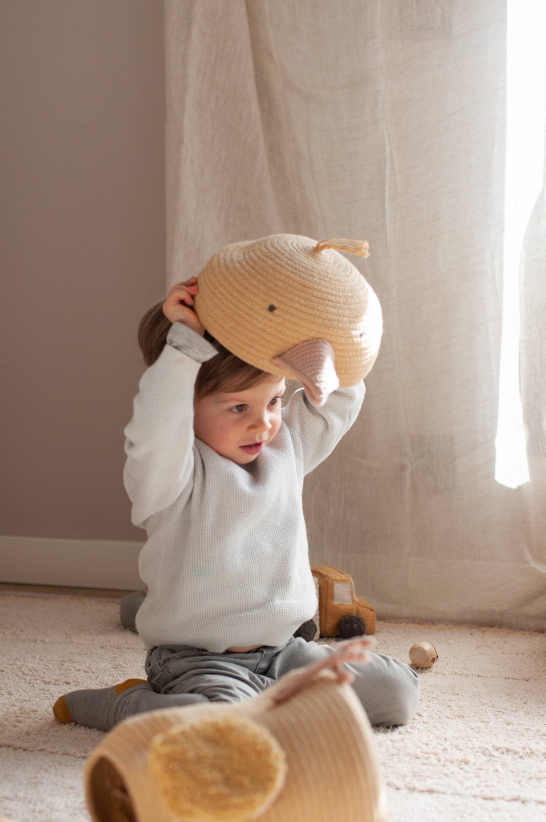 Lorena Canals Basket - Charlie The Chicken