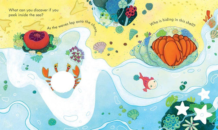 Usborne Peek Inside the Sea