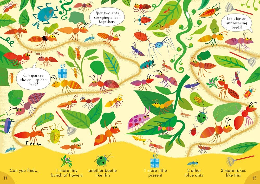 Usborne Can you Spot? Bugs