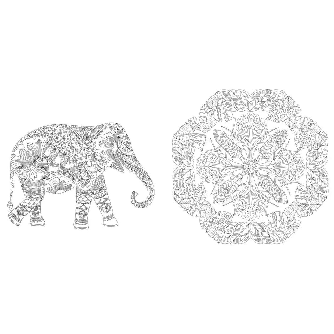 Millie Marotta's Wildlife Wonders Coloring Book