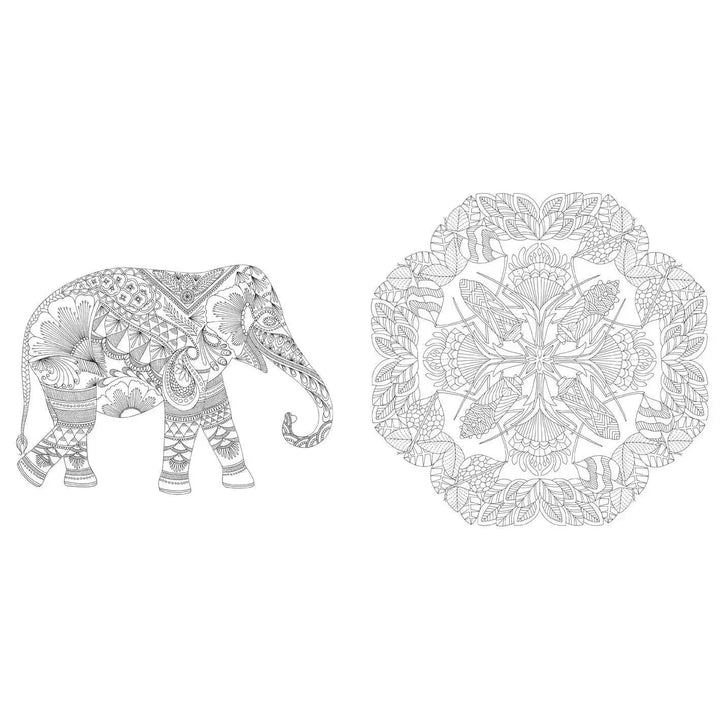 Millie Marotta's Wildlife Wonders Coloring Book