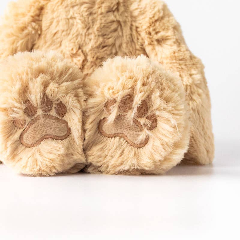 Slumberkins Honey Bear's Gratitude Plush Set - 2 Books