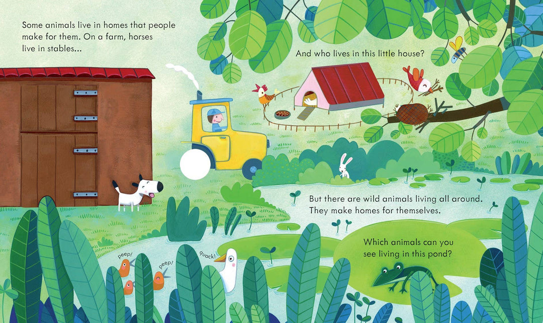 Usborne Peek Inside Animal Homes