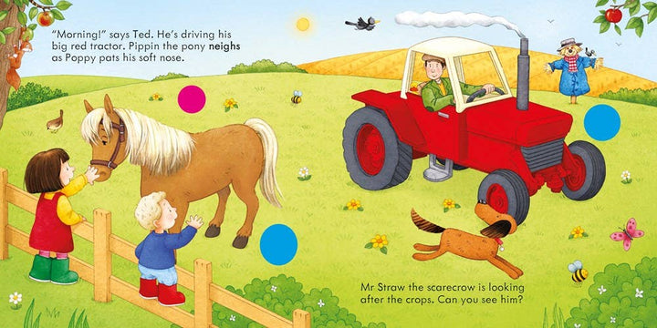 Usborne Poppy And Sam's Farm Animal Sounds