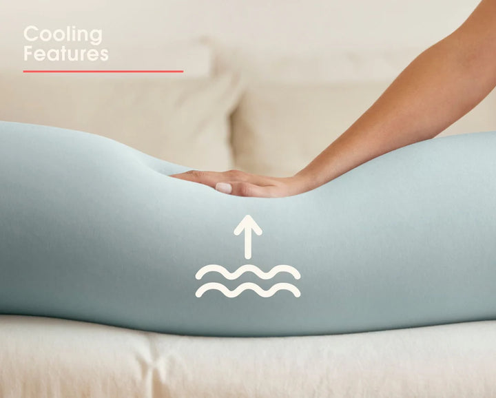 bbhugme Pregnancy Pillow