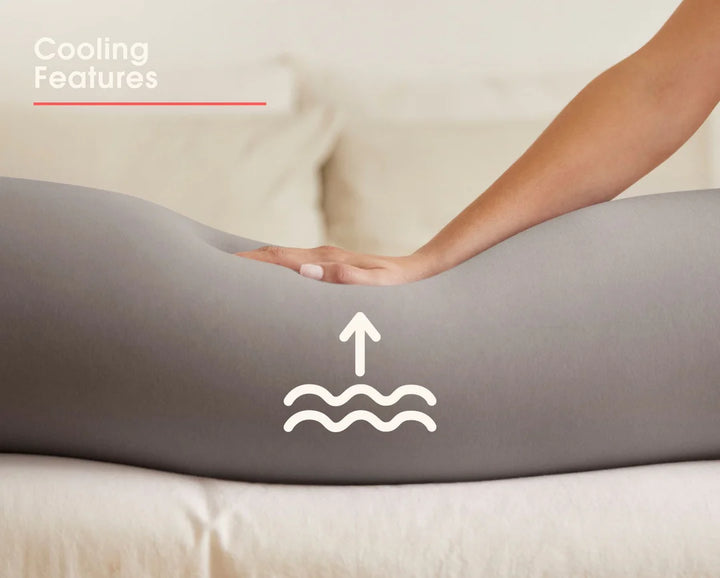 bbhugme Pregnancy Pillow