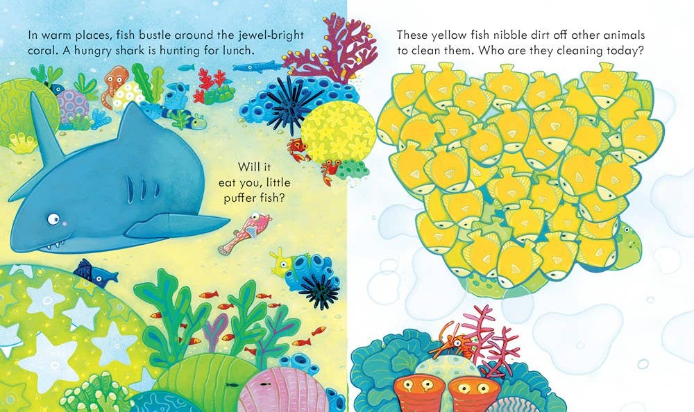 Usborne Peek Inside the Sea