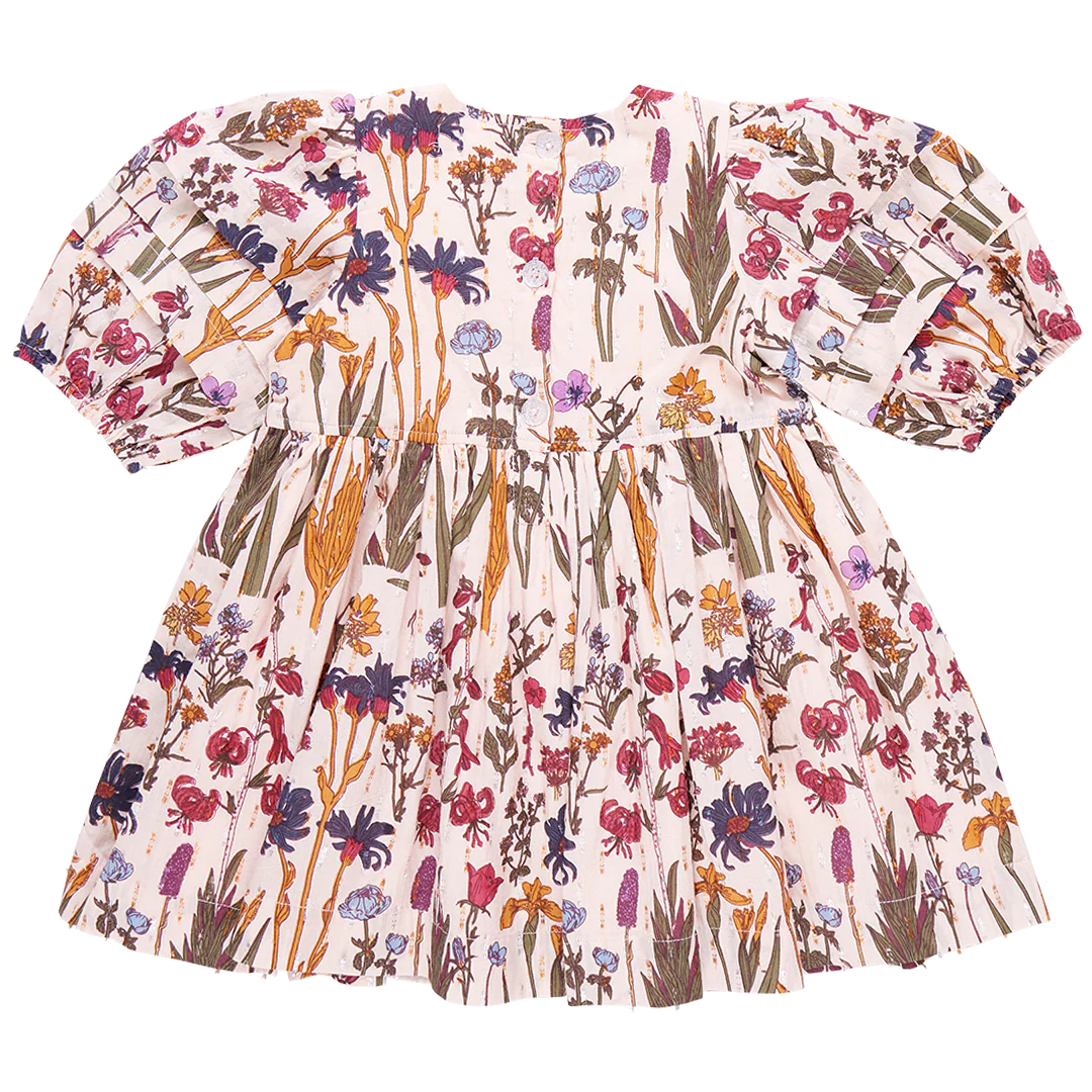 Pink Chicken Brooke Dress - Autumn Flowers