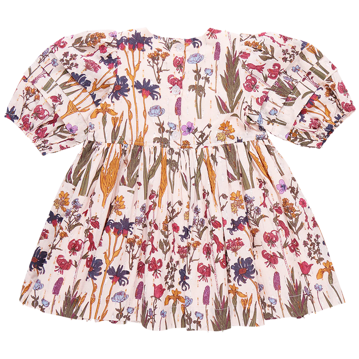 Pink Chicken Brooke Dress - Autumn Flowers