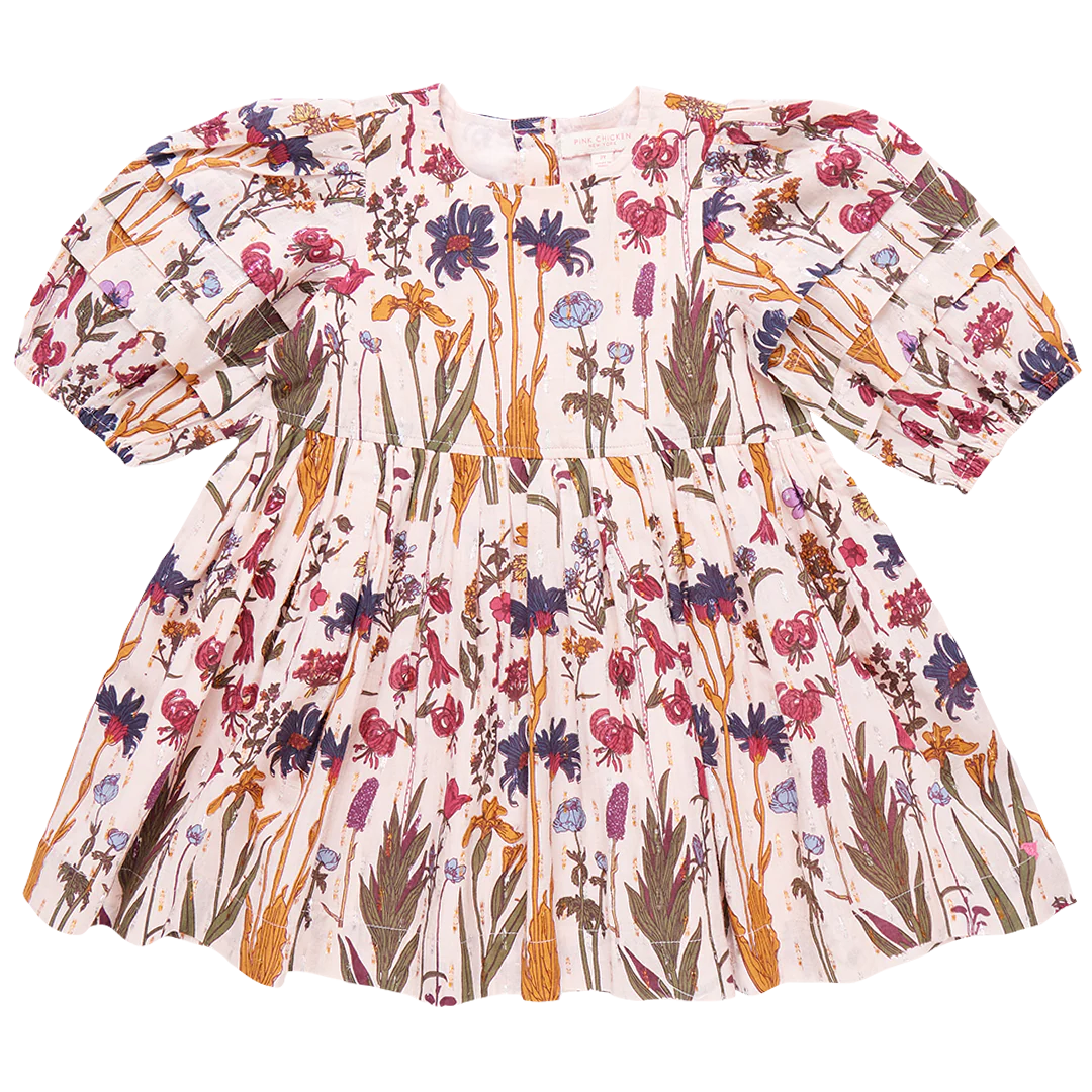 Pink Chicken Brooke Dress - Autumn Flowers