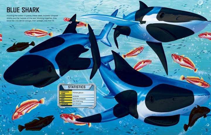 Usborne Build Your Own Sharks