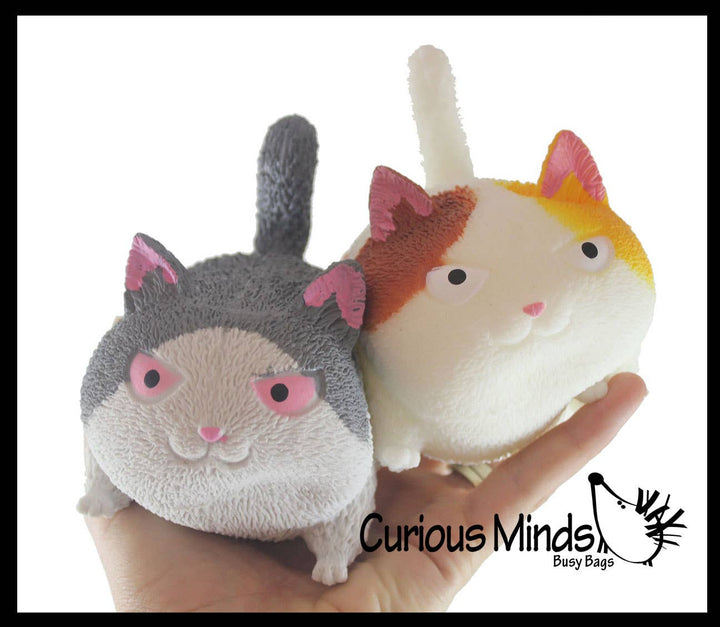Angry Cat Soft Fluff Doh Squeeze Stress Balls  -