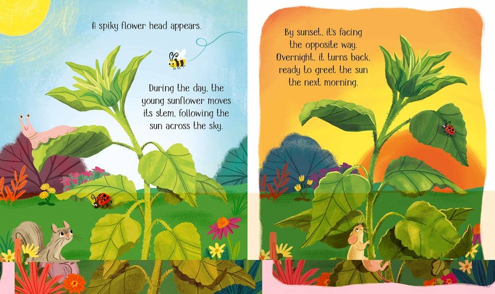 Usborne One Little Seed