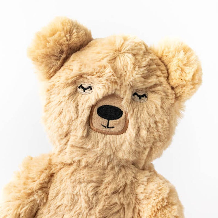 Slumberkins Honey Bear's Gratitude Plush Set - 2 Books