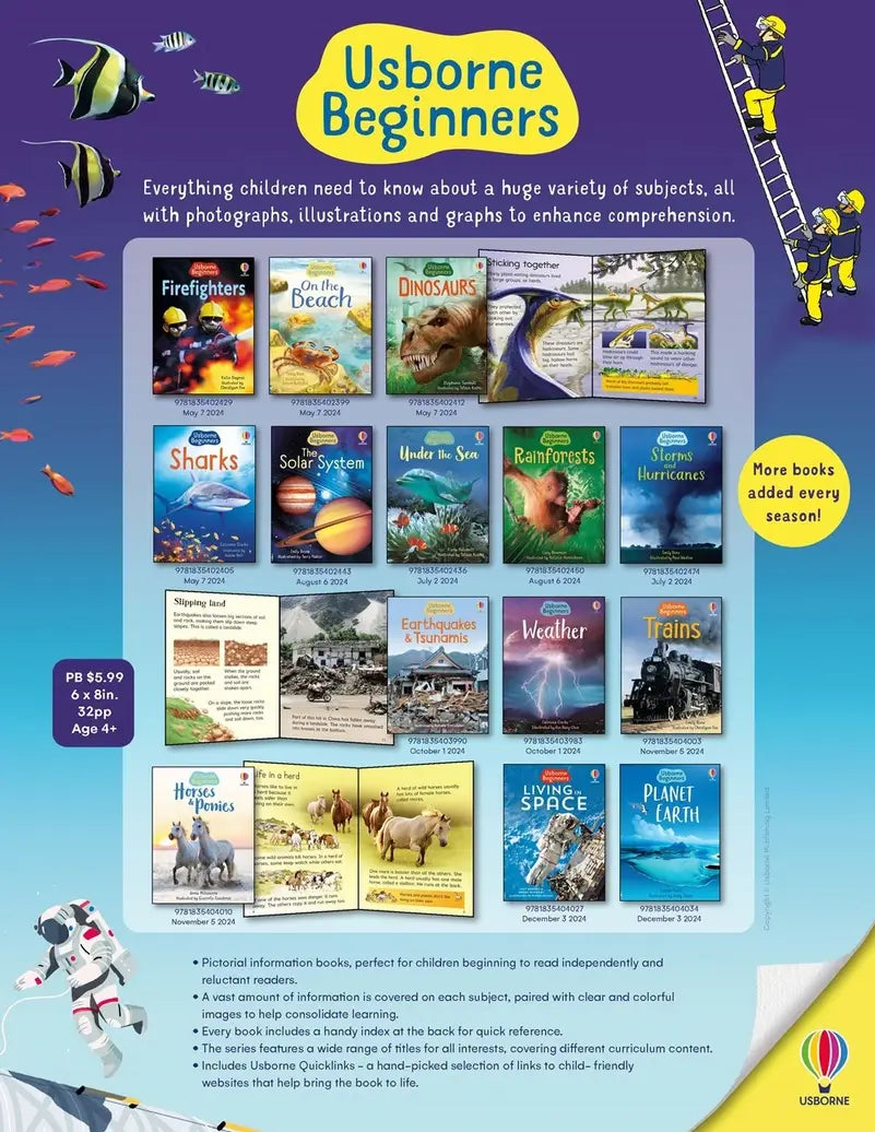 Usborne Beginners Sharks