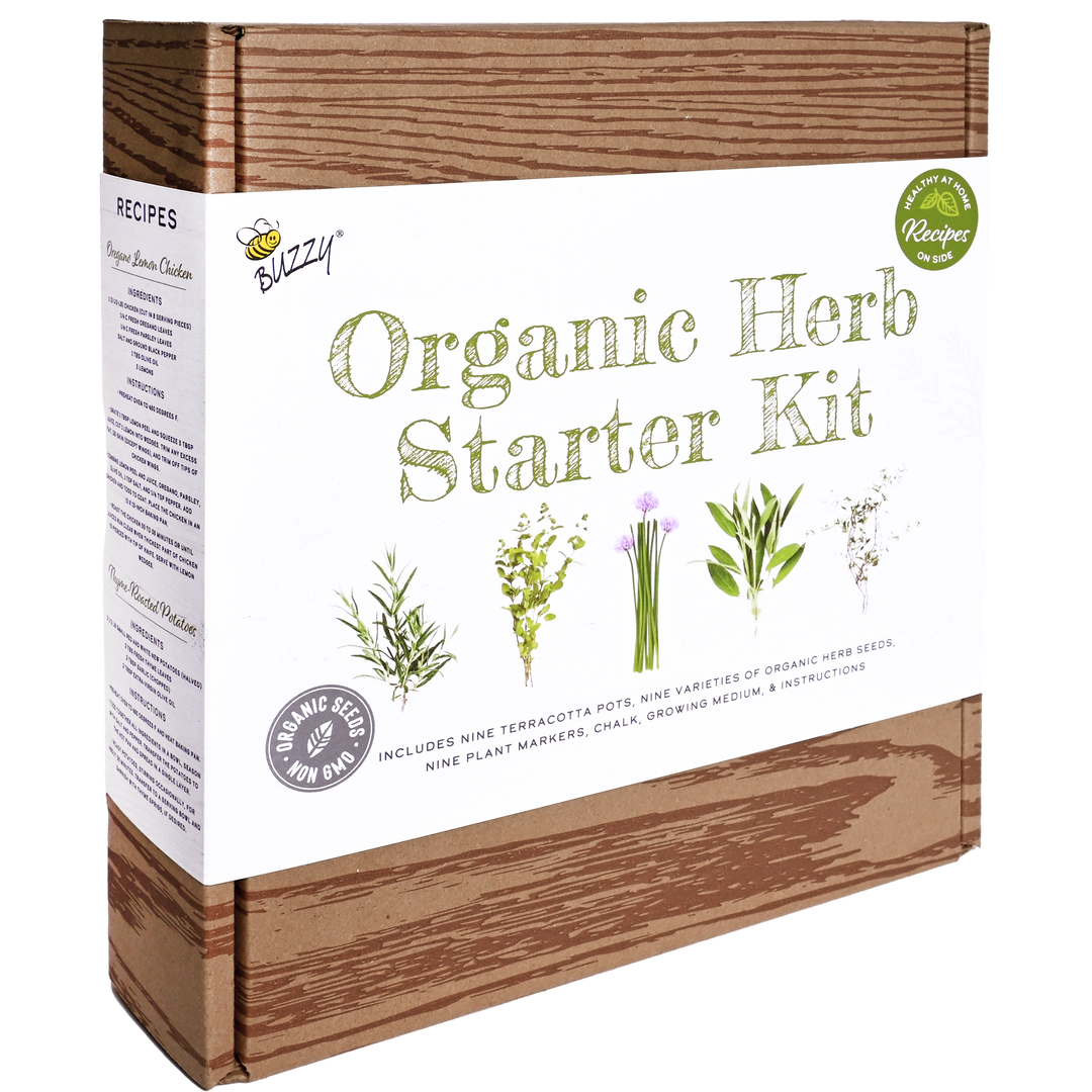 Buzzy Seeds Grow Gifts Organic Herb Starter Kit - Garden Workshop Kit | 9 Herbs