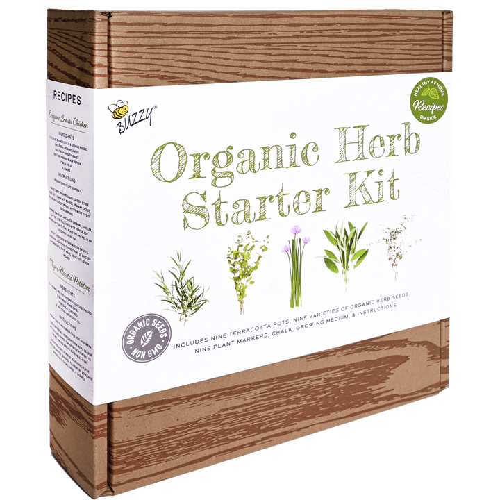 Buzzy Seeds Grow Gifts Organic Herb Starter Kit - Garden Workshop Kit | 9 Herbs