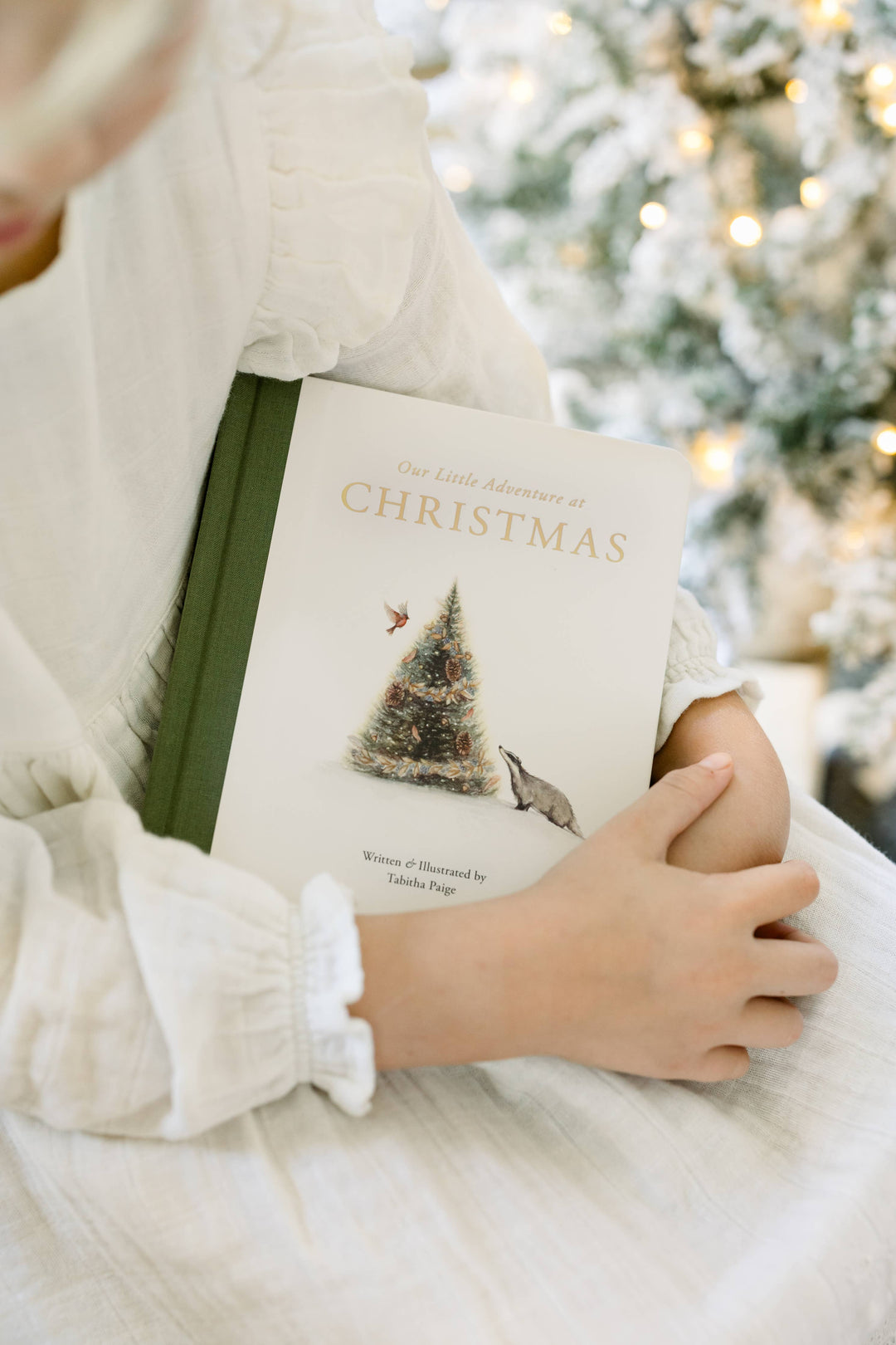 Our Little Adventure at Christmas