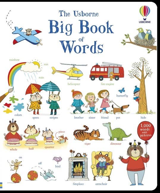 Usborne Big Book Of Words