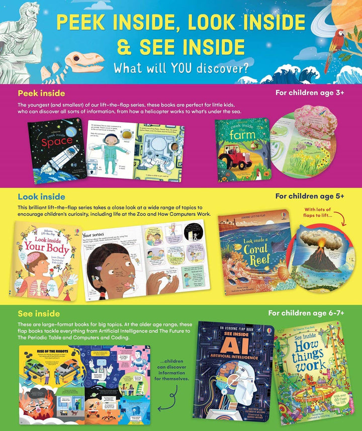 Usborne See Inside Bugs and Butterflies