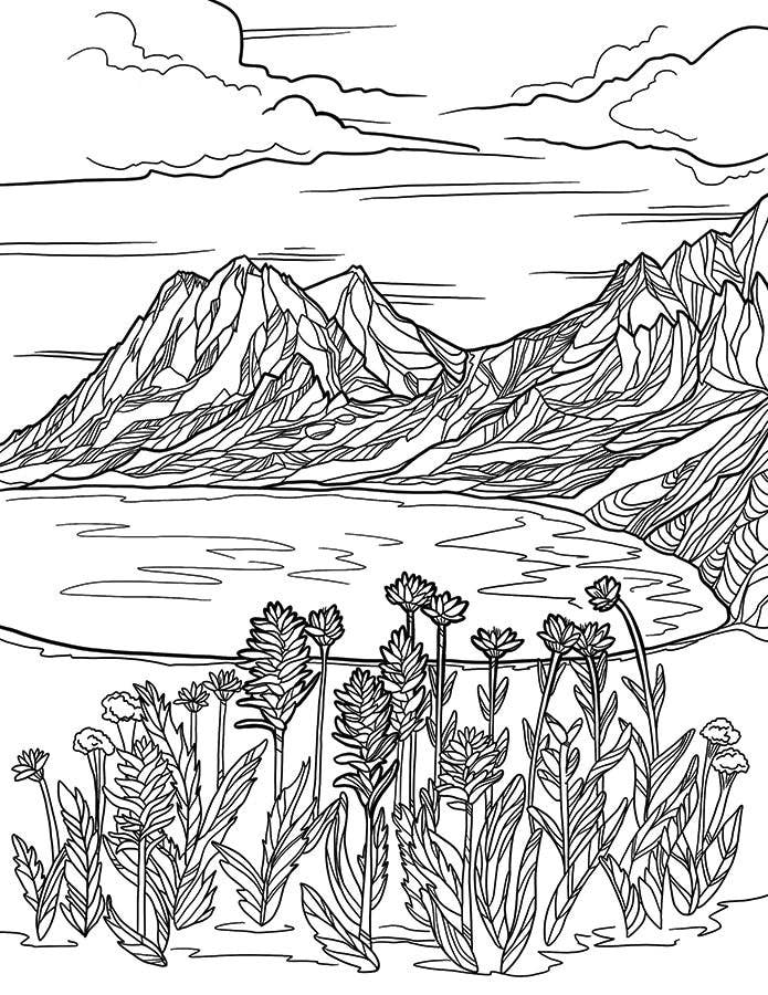 Michele Michael Art The Bend Coloring Book